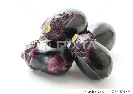 Tamagusu eggplant 6 23297589