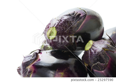 Juan eggplant 7 23297590