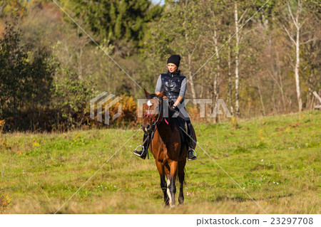 Elegant attractive woman riding a horse meadow Elegant attractive woman riding a horse meadow 23297708