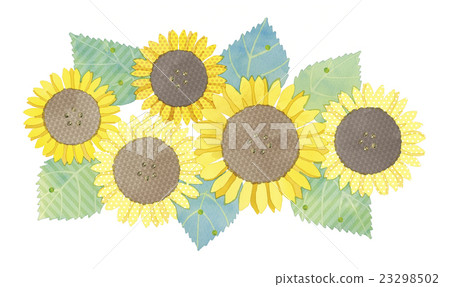 Sunflower illustration 23298502
