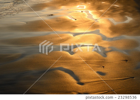 閃亮的金色湘南金馬海岸的海濱 23298536