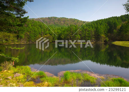Shrine pond 23299121