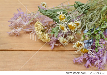 Dried flower Dried flower 23299332
