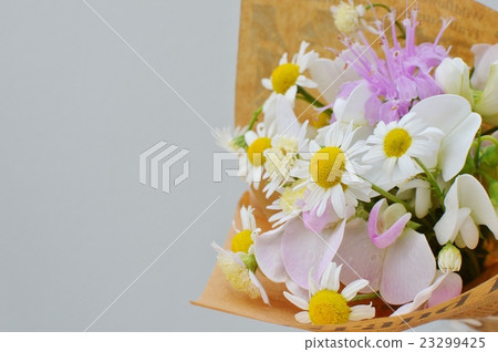 Chamomile bouquets 23299425