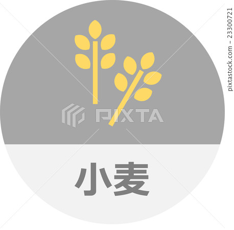 小麥圖標 小麥圖標 23300721
