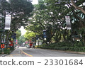 Singapore Street 23301684