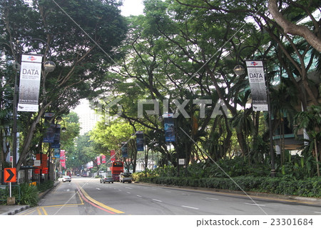 Singapore Street Singapore Street 23301684