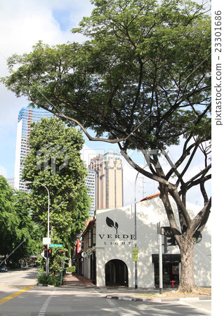 Singapore Street Singapore Street 23301686
