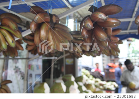 Singapore Banana Singapore Banana 23301688