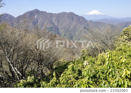 Asebi和Tanzawa主要山脊和富士山的Ridgeline Asebi和Tanzawa主要山脊和富士山的Ridgeline 23302065