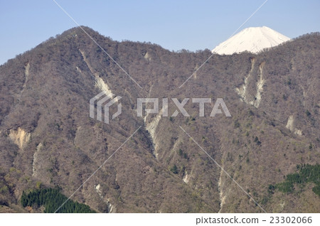 富士和檜木丸排隊 富士和檜木丸排隊 23302066