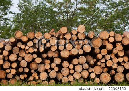 堆積的日誌 23302150