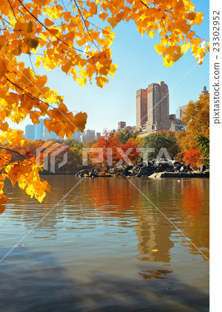 Central Park Autumn 23302952
