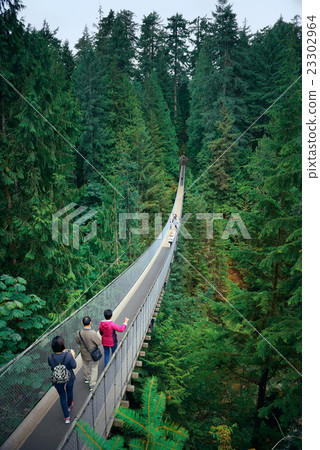 Capilano Suspension Bridge 23302964