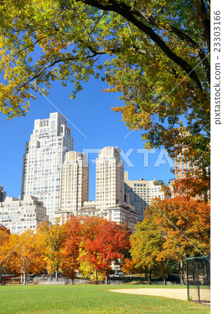 Central Park Autumn Central Park Autumn 23303166