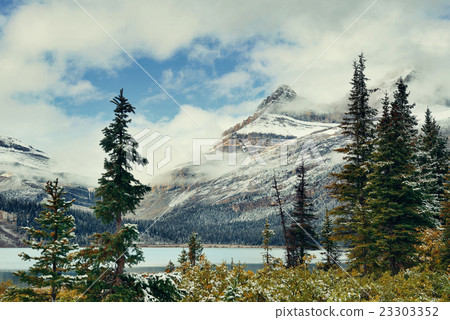 Bow Lake Bow Lake 23303352