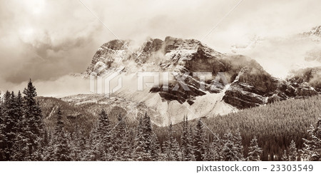 Bow Lake Bow Lake 23303549