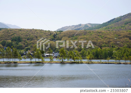 Shirakabako 23303807