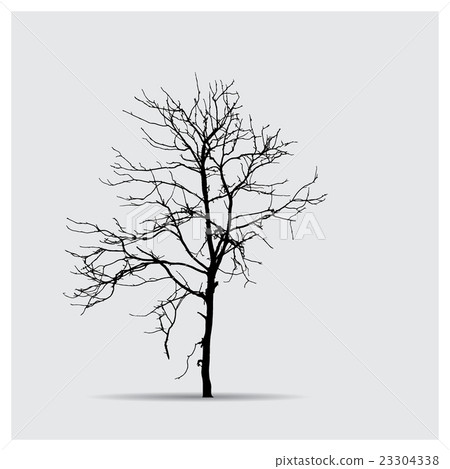 Vector tree silhouettes Vector tree silhouettes 23304338
