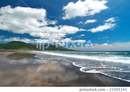 Summer beach Summer beach 23305141