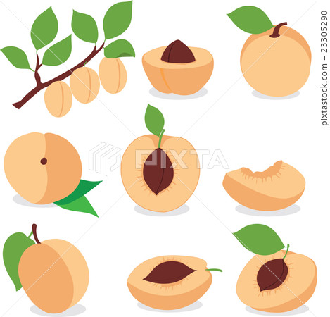 Apricot. Set apricots, pieces and slices Apricot. Set apricots, pieces and slices 23305290