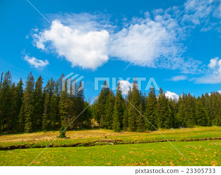 Mountain river on sunny day Mountain river on sunny day 23305733