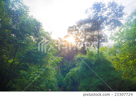 Sunny morning in mountain with fog. Sunny morning in mountain with fog. 23307724