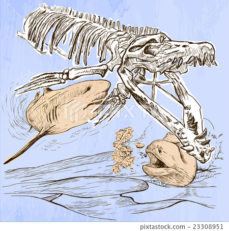 Underwater Prehistory - An hand drawn vector 23308951