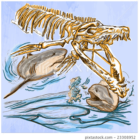 Underwater Prehistory - An hand drawn vector 23308952