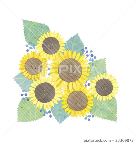 Sunflower illustration 23309872