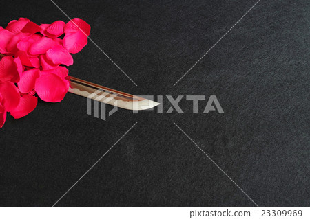 Rose red petals and Japanese sword blade 23309969