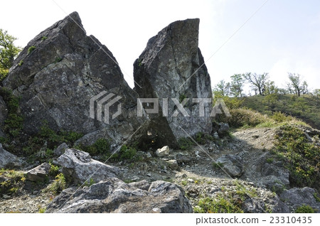 Tanzawa no Onigaro 23310435