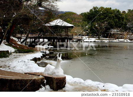 奈良公園 23310918