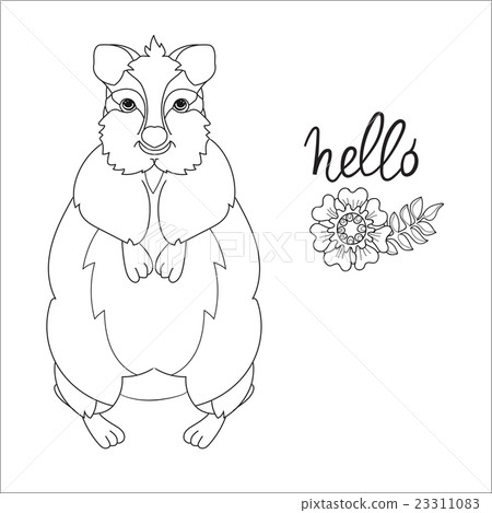 Hand drawn animal quokka doodle Hand drawn animal quokka doodle 23311083