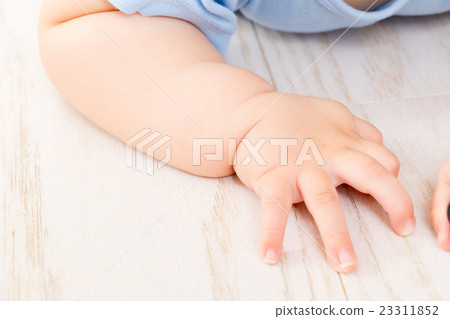 嬰孩嬰孩嬰兒嬰兒和兒童白色背景拷貝空間男孩 嬰孩嬰孩嬰兒嬰兒和兒童白色背景拷貝空間男孩 23311852