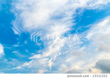 Guerrilla After heavy rain After sunny day Weather Weather in the early summer Copy space Character space Guerrilla After heavy rain After sunny day Weather Weather in the early summer Copy space Character space 23312352