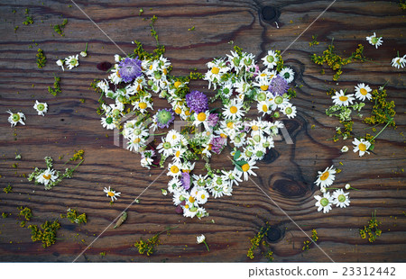 Heart of flowers Heart of flowers 23312442