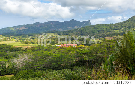 View on Chamarel with rum factory  23312785