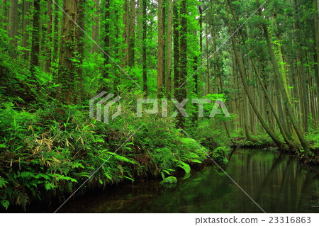 Ushidogawa河在夏天 23316863