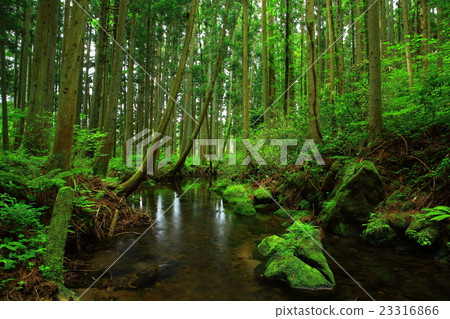 Ushidogawa河在夏天 23316866