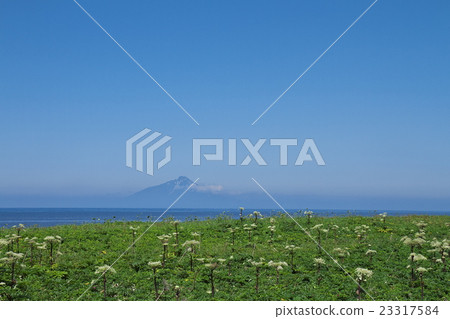 利尻富士和北緯45度 照片素材 圖片 圖庫