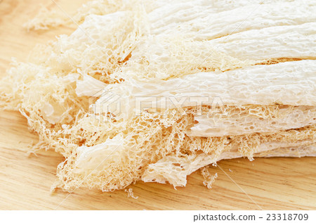 Tropical Stinkhorn mushroom, Phallus indusiatus 23318709