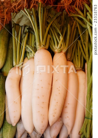 Radish in Thailand (Thai radish) Radish in Thailand (Thai radish) 23318763