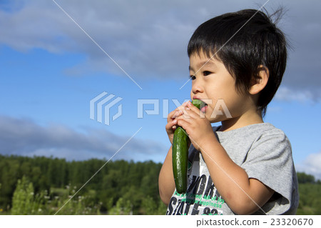 A boy who eats vegetables 23320670
