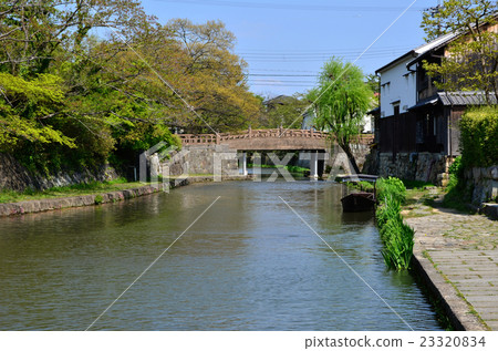 Omihachiman Yawata digging (2016.4) 23320834