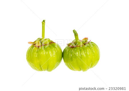Garcinia cambogia fresh fruit, isolated on white. 23320981