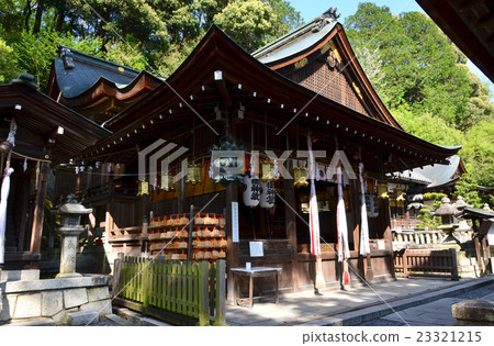 Omihachiman Sun Temple Hachimangu Shrine Main Hall (2016.4) 23321215