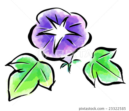 刷子繪了夏天牽牛花 刷子繪了夏天牽牛花 23322585