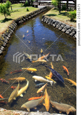 Jinshan Great weir 23322675