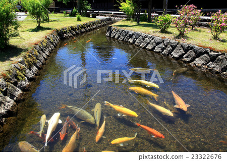 Jinshan Great weir 23322676